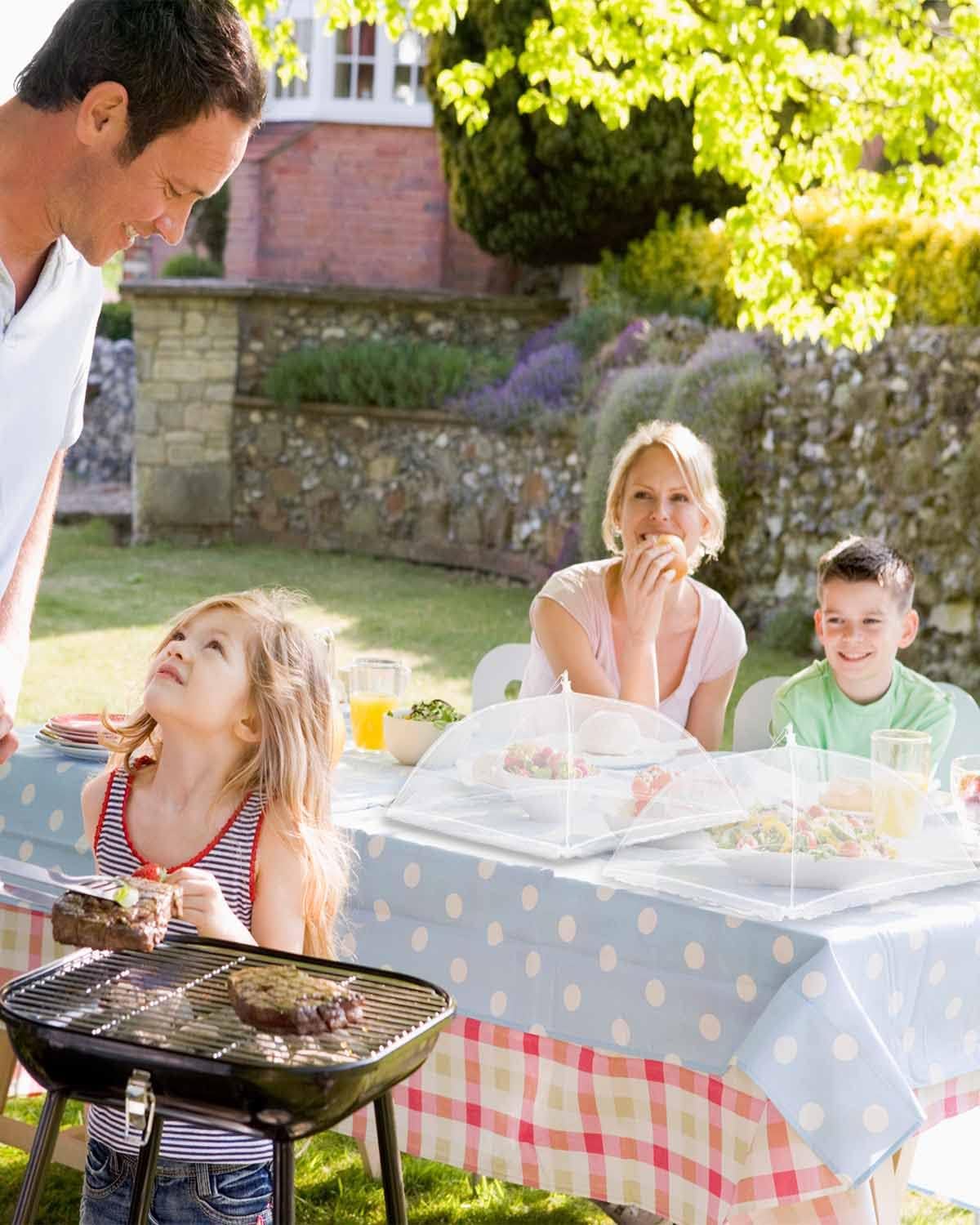 🔥Buy 1 Get 1 Free🔥Large Food Cover,17"x17",Pop-Up Umbrella Screen Tents