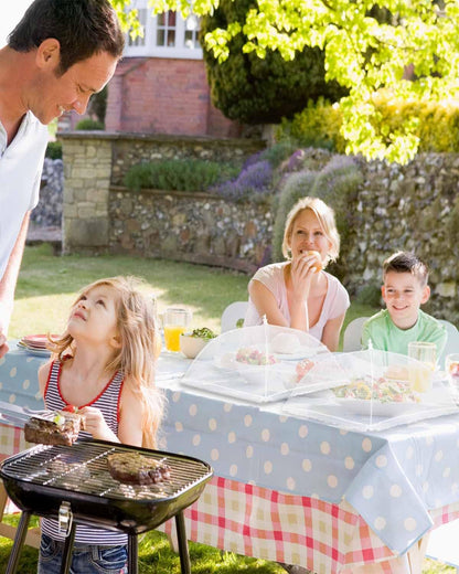 🔥Buy 1 Get 1 Free🔥Large Food Cover,17"x17",Pop-Up Umbrella Screen Tents